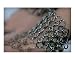 In Chains Emerging Artists Photographic Poster Print by Christopher Miller, 10x8