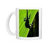 Little Gecko behind a illuminated palm leaf, Vallee de Mai, UNESCO World Photo Mugs