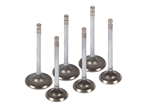 Evergreen IEV8006 89-00 Geo Chevrolet Metro Pontiac Firefly 1.0 SOHC G10 Intake Exhaust Valves