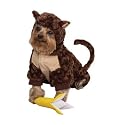Zack & Zoey Monkey Costume Med