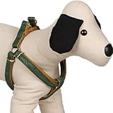 AKC Nylon Mesh 1' Adjustable Dog Harness in Hunter Green, Large