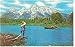 Grand Teton National Park Wy Postcard