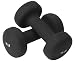Neoprene Hand Weights (10 lb.)