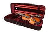 Legacy LVN-500 Step-Up Student Violin, 1/2 Size, with Ebony Fittings, Deluxe Case , Bow and D’Addario Helicore (USA) Strings
