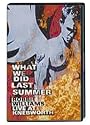 Robbie Williams - What We Did Last Summer [2 DVDs]