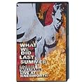 Robbie Williams - What We Did Last Summer [2 DVDs]