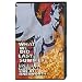Robbie Williams - What We Did Last Summer [2 DVDs]
