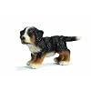 Schleich 16344 Berner Sennenhund Welpe