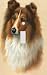 Collie Decorative Switchplate Cover