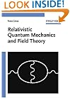 Relativistic Quantum Mechanics and Field Theory (Wiley Science Paperback Series)