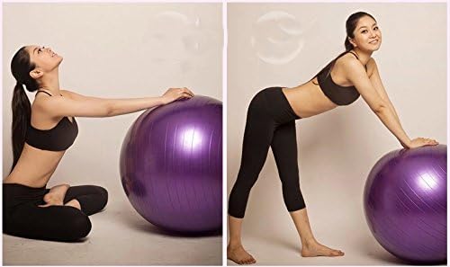 Anna Toys 65cm Pink Fitness Exercise and Stability Ball