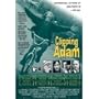 Clipping Adam