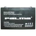 Feenix Extra Rechargeable 6V Battery for Evel Knievel Chopper