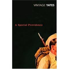 A Special Providence (Vintage Classics)