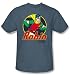 Search : Batman And Robin Kids T-shirt - The Boy Wonder DC Comics Slate Youth