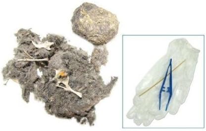Pkg (2) Owl Pellet Kit with Tweezers, Pointing Stick and 8-Page Booklet by Universal Specialities
