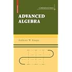 Click here to buy Basic Algebra and Advanced Algebra Set (Cornerstones) by  Anthony W. Knapp.