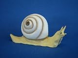 Eigenschaften JS GartenDeko e.K.  / Gartenfigur Schnecke Höhe 30 cm Dekofigur aus Kunststoff