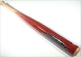 BOSTON RED SOX FENWAY PARK STADIUM MINI BASEBALL BAT