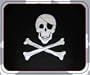 Jolly Roger Pirate Stadium BLANKET - Polar Fleece 50"x60"