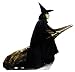 Wicked Witch of the West (The Wizard of Oz) Life-Size Standup Poster