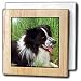 Dogs Border Collie - Border Collie - Tile Napkin Holders