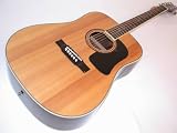 George Washburn Lyon Signature Acoustic Guitar PAK (Rosewood)
