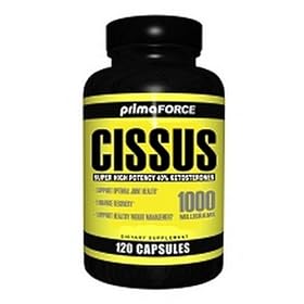 Cissus
