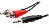 1/8' Stereo (3.5mm) Male Mini to 2-RCA Male Audio Y-Cable iPod Compatible (6 FT.)