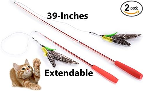 HiFlyr Cat Feather Toy - Cat Toy Wand - Teaser Toy for Cats (Colors May Vary) **2 PACK** by VersaHome