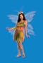 Adult Felicity the Woodland Fairy Costume-Standard(12-14)