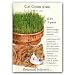 Cat Grass Seeds 15 grams