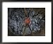 Archaeologists Use a Copper Age Method to Make Copper from Copper Ore Framed Art Poster Print by Kenneth Garrett, 22x18