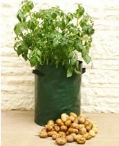HAXNICKS POTATO PLANTERS - 3 PACK