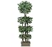 ONE Pre-Potted 6' Artificial Ficus Tree with Multiple Real Wood Trunks and Rock