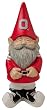 NCAA Ohio State Buckeyes Garden Gnome [Sports]