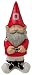 NCAA Ohio State Buckeyes Garden Gnome [Sports]