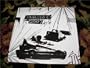 Dangerbird Records Music CD Sampler 2007