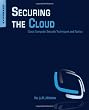 Securing the Cloud: Cloud Computer Security Techniques and Tactics