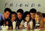 Friends TV Show Poster