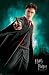 Harry Potter and the Half-Blood Prince People Poster Print, 22x34