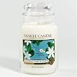 Tahitian Tiare Flower 22 oz Jar Candle by Yankee Candle