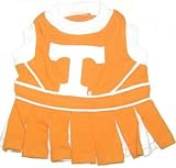 University of Tennessee Cheerleader Outfit - Medium