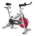 Stamina 15-9200 CPS Exercise Spin Bike