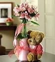 Same Day Flower Delivery Cuddle Up and Get Well