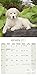 Golden Retriever Puppies Calendar 2017 - Dog Breed Calendars - 2016 - 2017 wall calendars - 16 Month by Avonside