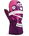 Dakine Brat Mitt