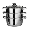 Premier Housewares Stainless Steel Multi Steamer with Glass Lid and Capsule Base, 22 cm Diameter x 25 cm Height