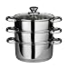 Premier Housewares Stainless Steel Multi Steamer with Glass Lid and Capsule Base, 22 cm Diameter x 25 cm Height