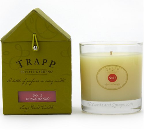 TRAPP No. 12 GUAVA/MANGO LARGE POURED CANDLE